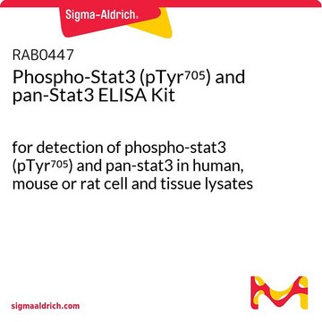 Phospho-Stat3 (pTyr???) and pan-Stat3 ELISA