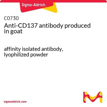 Anti-CD137 antibody produced in goat