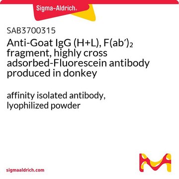 Anti-Goat IgG (H+L), F(ab?)? fragment,