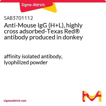 Anti-Mouse IgG (H+L), highly cross