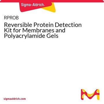 Reversible Protein Detection Kit for