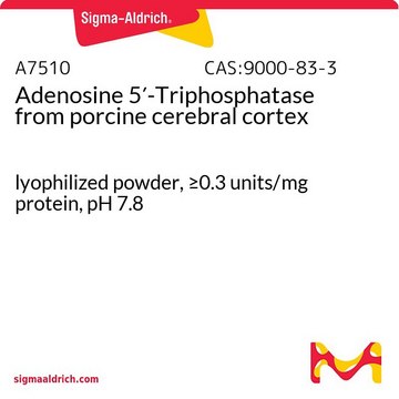 Adenosine 5?-Triphosphatase from porcine cerebral