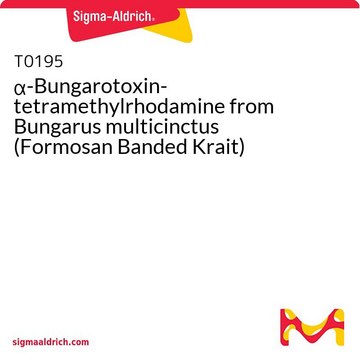 ?-Bungarotoxin-tetramethylrhodamine from Bungarus multicinctus (Formosan