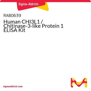 Human CHI3L1 / Chitinase-3-like Protein