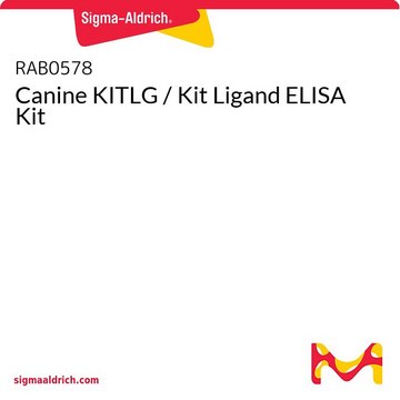 Canine KITLG / Kit Ligand