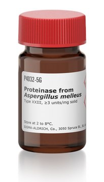 Proteinase from Aspergillus melleus