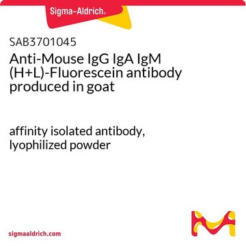 Anti-Mouse IgG IgA IgM (H+L)-Fluorescein