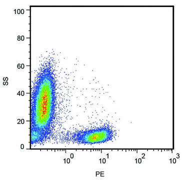 Monoclonal Anti-CD28 antibody produced in