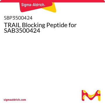 TRAIL Blocking Peptide for SAB3500424