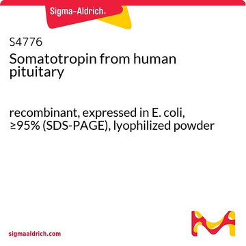 Somatotropin from human pituitary