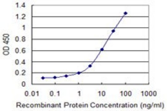 Monoclonal Anti-POP7 antibody produced in