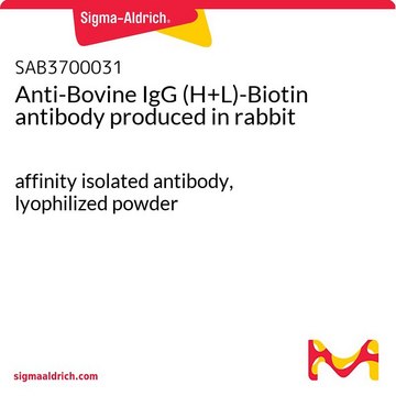 Anti-Bovine IgG (H+L)-Biotin antibody produced