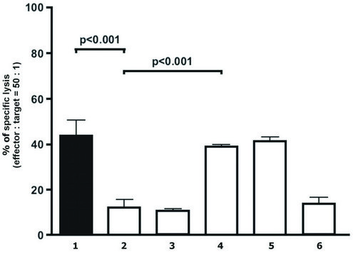 Monoclonal Anti-HLAG antibody produced in