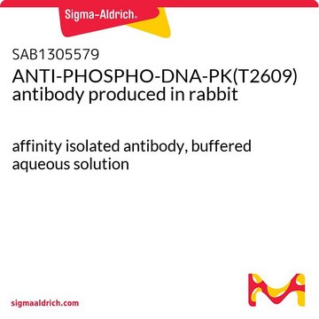 ANTI-PHOSPHO-DNA-PK(T2609) antibody produced in rabbit