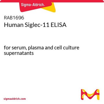 Human Siglec-11 ELISA