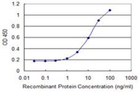 Monoclonal Anti-BMP5 antibody produced in