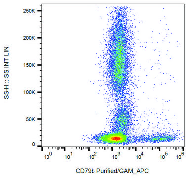 Monoclonal Anti-CD79b antibody produced in