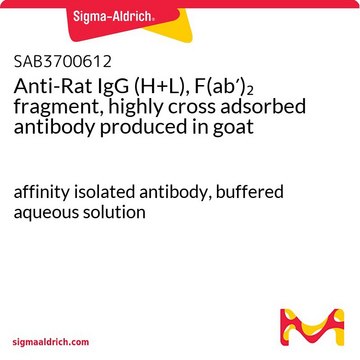 Anti-Rat IgG (H+L), F(ab?)? fragment,