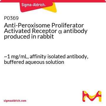 Anti-Peroxisome Proliferator Activated Receptor ?