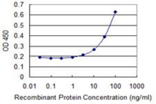Monoclonal Anti-NPY1R antibody produced in