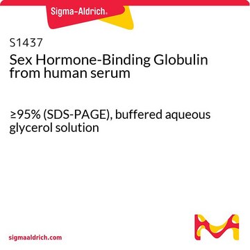 Sex Hormone-Binding Globulin from human