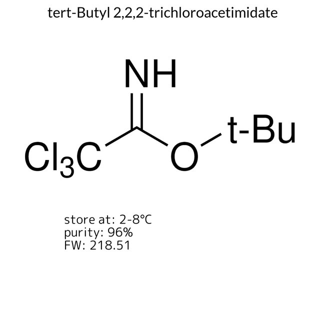 tert-Butyl 2,2,2-trichloroacetimidate