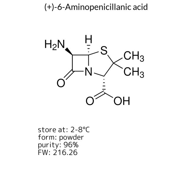 (+)-6-Aminopenicillanic acid