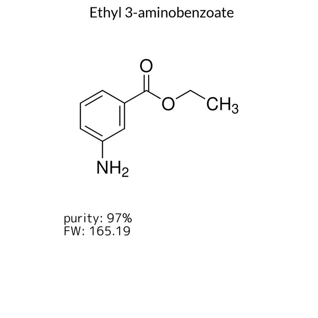 Ethyl 3-aminobenzoate