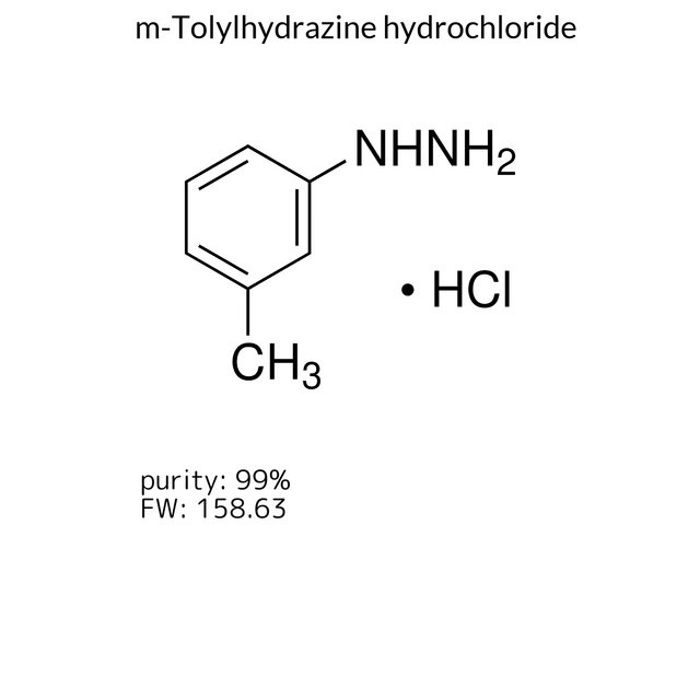 m-Tolylhydrazine hydrochloride
