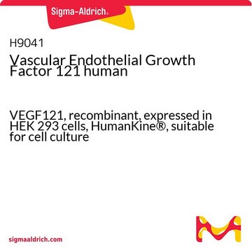 Vascular Endothelial Growth Factor 121