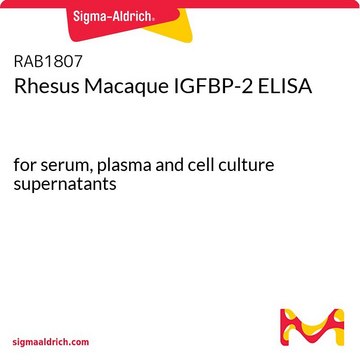 Rhesus Macaque IGFBP-2 ELISA