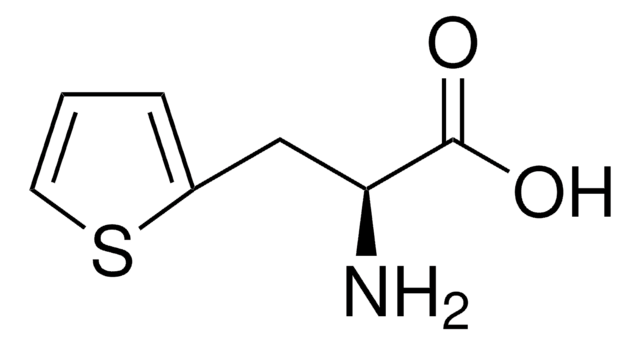 3-(2-Thienyl)-?-alanine