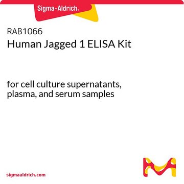 Human Jagged 1 ELISA Kit