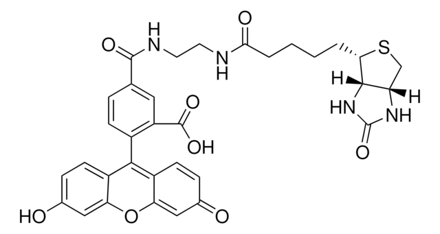 Biotin (5-fluorescein) conjugate