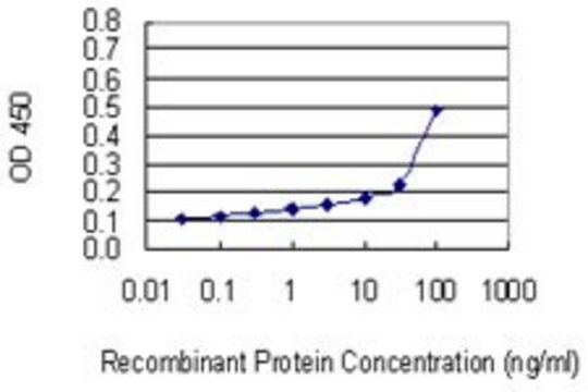 Monoclonal Anti-MRPL4 antibody produced in