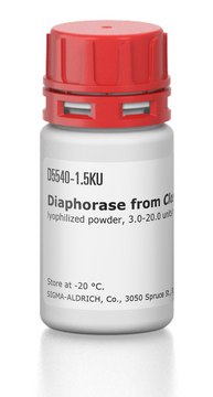 Diaphorase from Clostridium kluyveri