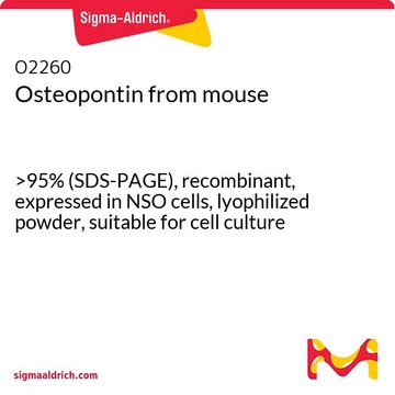 Osteopontin from mouse