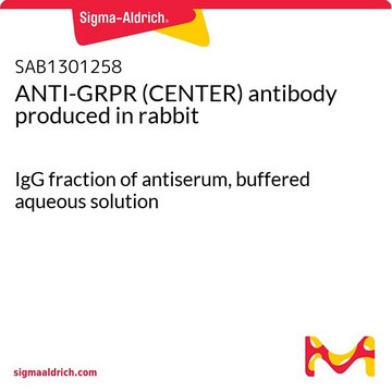 ANTI-GRPR (CENTER) antibody produced in