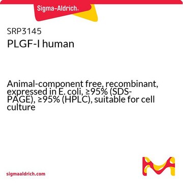 PLGF-I human