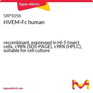 HVEM-Fc human