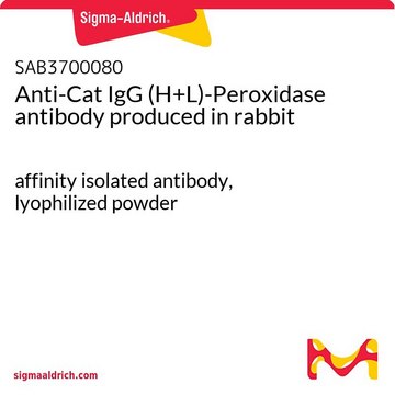 Anti-Cat IgG (H+L)-Peroxidase antibody produced