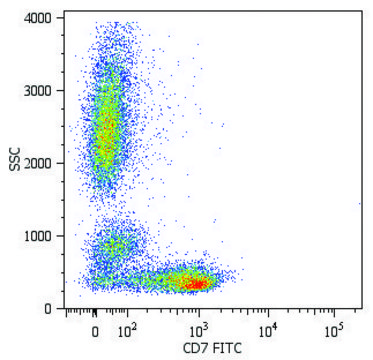 Monoclonal Anti-CD7-FITC antibody produced in