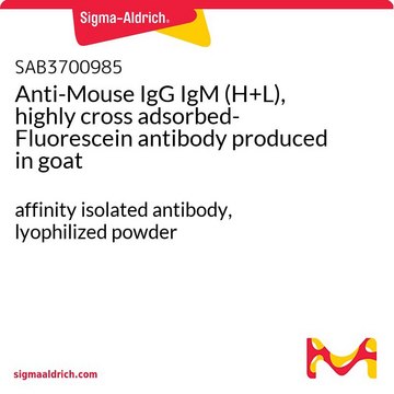 Anti-Mouse IgG IgM (H+L), highly