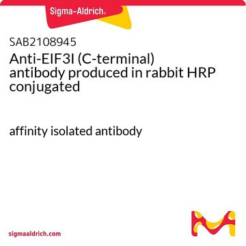 Anti-EIF3I (C-terminal) antibody produced in