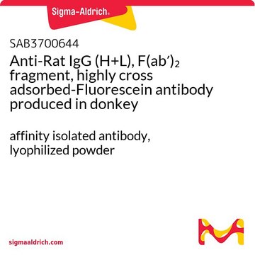 Anti-Rat IgG (H+L), F(ab?)? fragment,