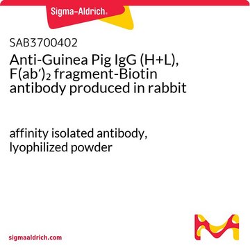 Anti-Guinea Pig IgG (H+L), F(ab?)?