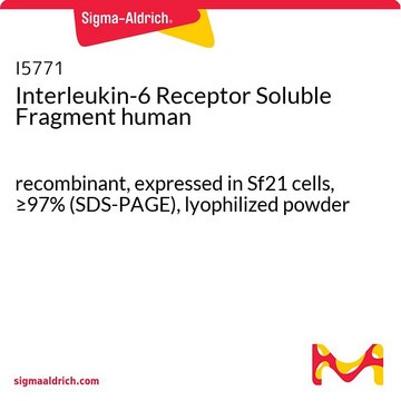 Interleukin-6 Receptor Soluble Fragment human