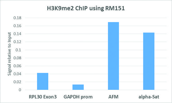 Anti-Dimethyl Histone H3 (Lys9) antibody,