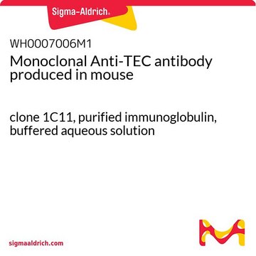 Monoclonal Anti-TEC antibody produced in