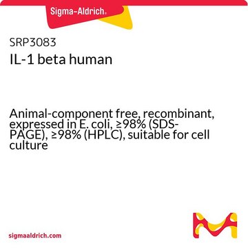 IL-1 beta human